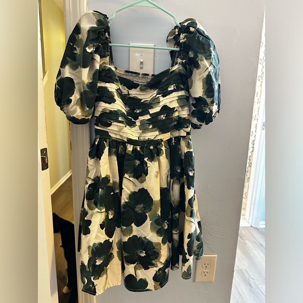 Abercrombie and Fitch Emerson dress